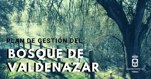 Plan de gestión del Bosque de Valdenazar