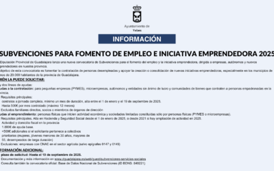 Subvenciones 2025 para el fomento del empleo y el emprendimiento en la provincia de Guadalajara